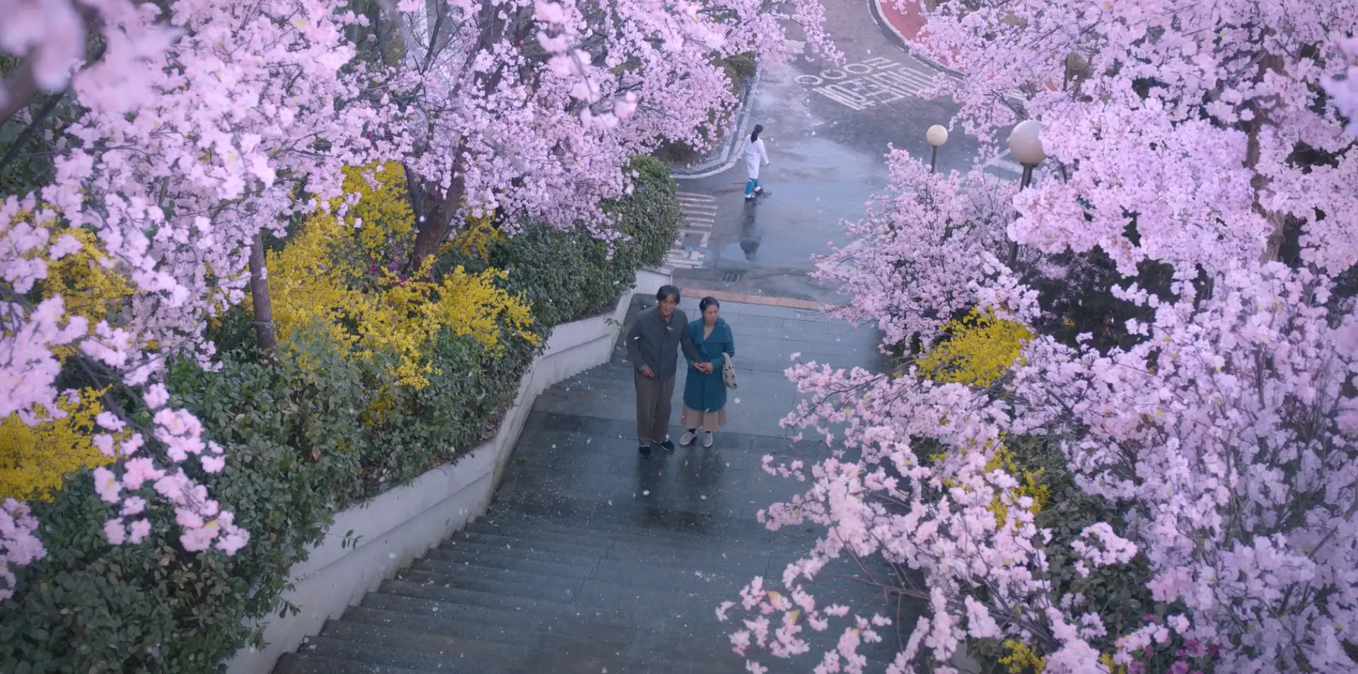 来源：第16集